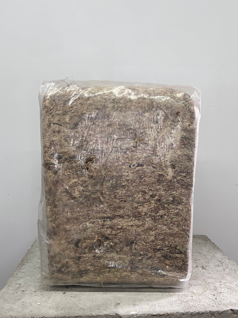 Sphagnum Moss 5kg bale