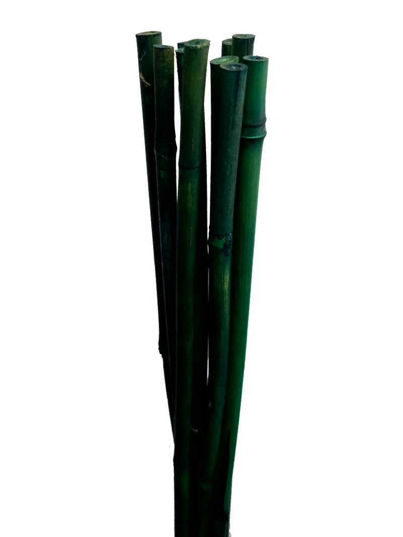 Bamboo Sticks x 10