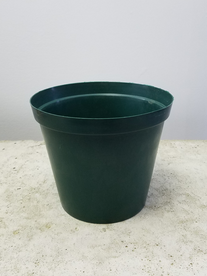 Green Pot 18cm