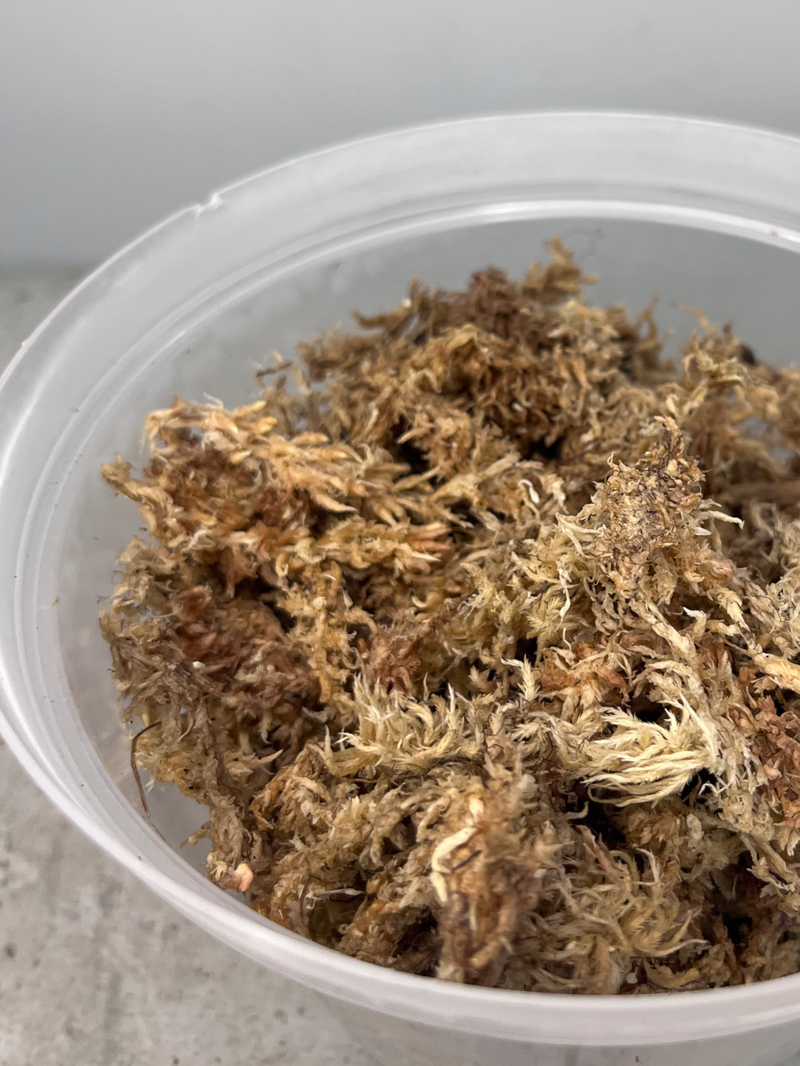 Sphagnum Moss 5kg bale